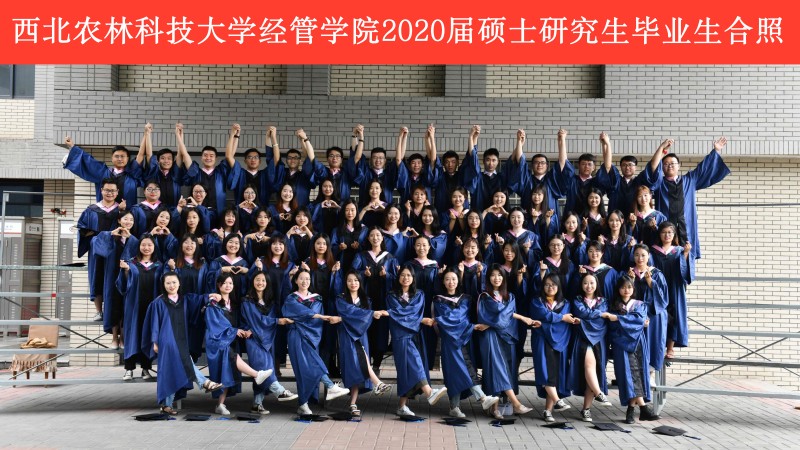 未命名2.jpg