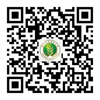 9bc201b6ae1c4ec890931b0cb73ebe72.png 1.png